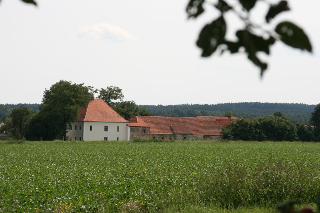 Historischer Pfarrhof Niederleierndorf Langquaid Room photo